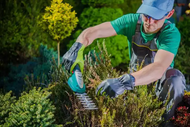 landscaping services Ecorse